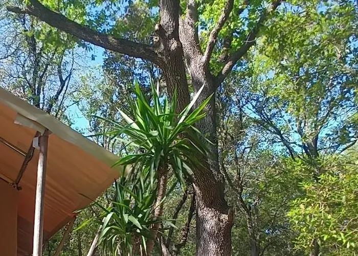 Luxury tent Tente Safari Au Pont Du Gard
